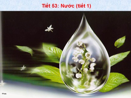 Bài giảng Hóa học Khối 8 - Tiết 53: Nước (Tiết 1)