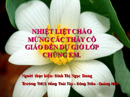 Bài giảng Hóa học Lớp 8 - Bài 44: Rượu etylic - Đinh Thị Ngọc Dung