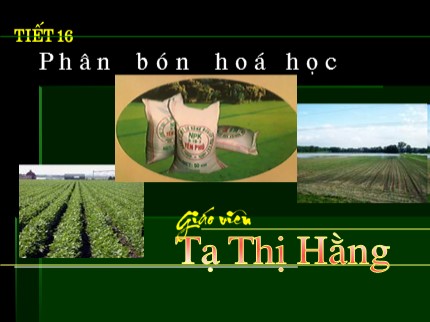 Bài giảng Hóa học Lớp 8 - Tiết 16: Phân bón hóa học - Tạ Thị Hằng