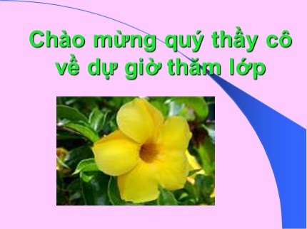 Bài giảng Hóa học Lớp 8 - Tiết 32: Ôn tập học kỳ I