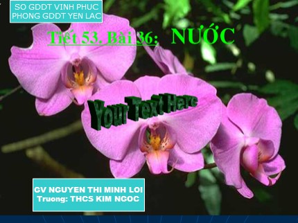 Bài giảng Hóa học Lớp 8 - Tiết 53: Nước - Nguyễn Thị Minh Lợi