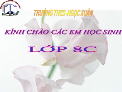 Bài giảng Hóa học Lớp 8 - Tiết 8: Đơn chất và hợp chất phân tử - Trường THCS Ngọc Xuân