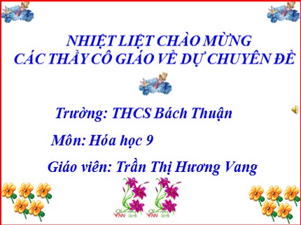 Bài giảng Hóa học Lớp 9 - Bài: Luyện tập Chương I - Trần Thị Hương Vang