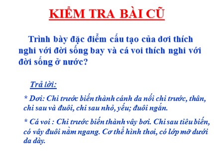 Bài giảng Sinh học 7 - Tiết 52: Bộ ăn sâu bọ - Bộ gặm nhấm - Bộ ăn thịt