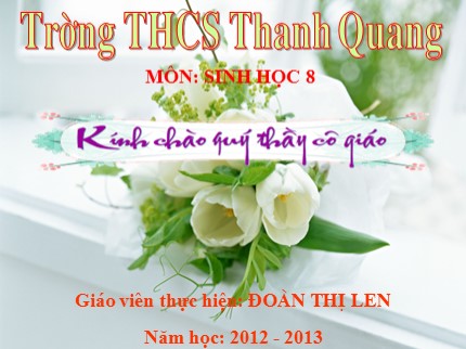 Bài giảng Sinh học Lớp 8 - Bài 24: Tiêu hoá và các cơ quan tiêu hoá - Đoàn Thị Len