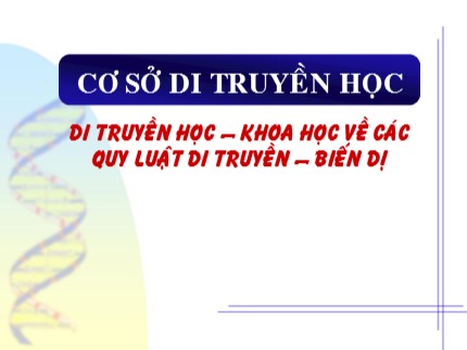 Bài giảng Sinh học Lớp 9 - Bài: Cơ sở di truyền học