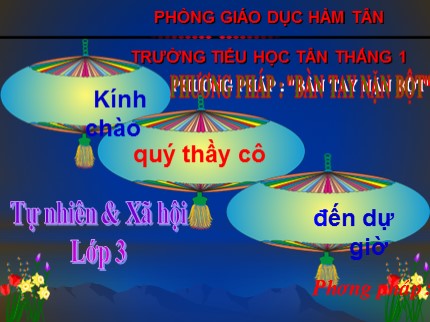 Bài giảng Tự nhiên & Xã hội Lớp 3 - Bài: Quả - Trường TH Tân Thắng 1