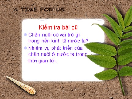 Bài giảng Công nghệ 7 - Bài 31: Giống vật nuôi