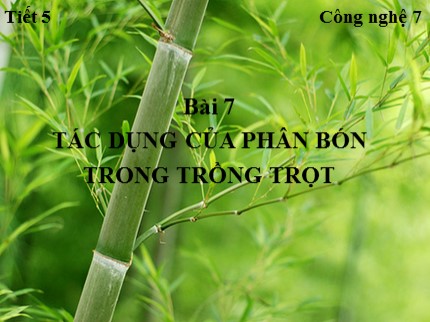 Bài giảng Công nghệ 7 - Bài 7: Tác dụng của phân bón trong trồng trọt