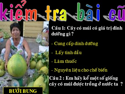 Bài giảng Công nghệ 9 - Bài 8: Kỹ thuật trồng cây nhãn