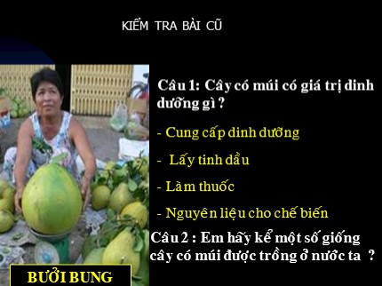 Bài giảng Công nghệ 9 - Bài 8: Kỹ thuật trồng cây nhãn