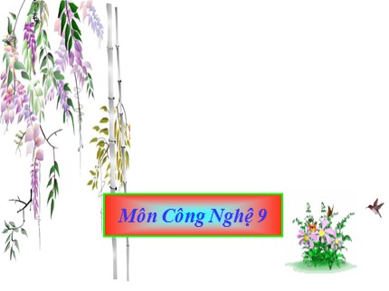 Bài giảng Công nghệ Khối 9 - Bài 11: Lắp đặt dây dẫn của mạng điện trong nhà