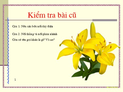 Bài giảng Công nghệ Khối 9 - Bài 6: Lắp bảng điện