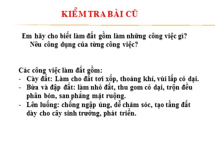 Bài giảng Công nghệ Lớp 9 - Bài 16: Gieo trồng cây nông nghiệp