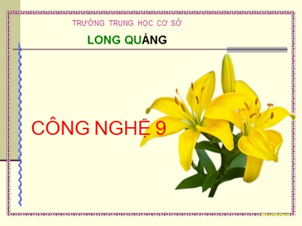 Bài giảng Công nghệ Lớp 9 - Bài 2: Vật liệu dùng trong lắp đặt mạng điện trong nhà - Trường THCS Long Quảng