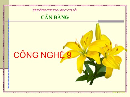 Bài giảng Công nghệ Lớp 9 - Bài 3: Dụng cụ dùng trong lắp đặt mạng điện (Tiếp theo) - Trường THCS Cần Đăng