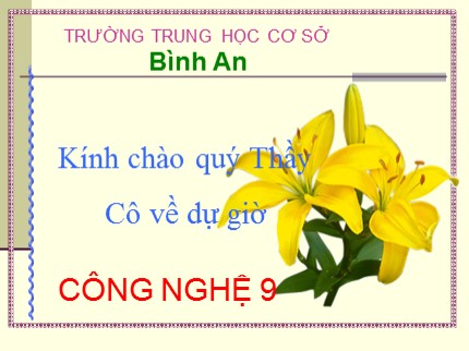 Bài giảng Công nghệ Lớp 9 - Bài 5: Thực hành Nối dây dẫn điện - Trường trung học cơ sở Bình An