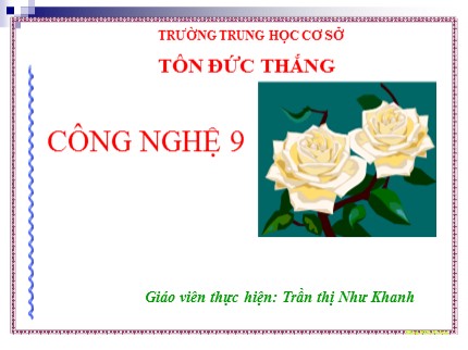 Bài giảng Công nghệ Lớp 9 - Bài 6: Thực hành lắp đặt mạch điện bảng điện - Trần Thị Như Khanh