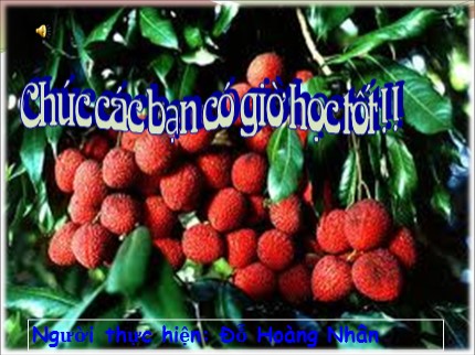 Bài giảng Công nghệ Lớp 9 - Bài 9: Kĩ thuật trồng cây vải - Đỗ Hoàng Nhân