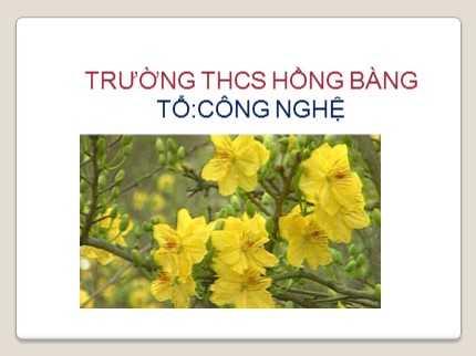 Bài giảng Công nghệ Lớp 9 - Bài 9: Thực hành món hấp - Trường THCS Hồng Bàng