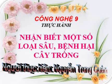 Bài giảng Công nghệ Lớp 9 - Bài: Thực hành nhận biết một số loại sâu, bệnh hại cây trồng - Nguyễn Trung Quân