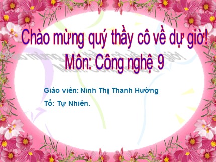 Bài giảng Công nghệ Lớp 9 - Tiết 10: Thực hành lắp mạch điện bảng điện - Ninh Thị Thanh Hường