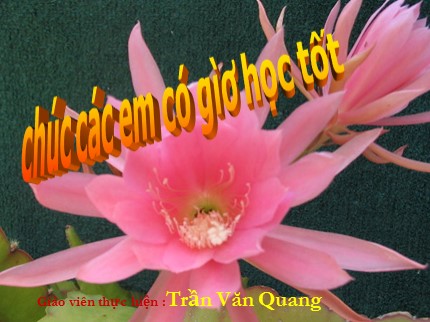 Bài giảng Công nghệ Lớp 9 - Tiết 16: Trồng cây vải - Trần Văn Quang