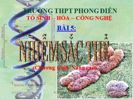 Bài giảng Sinh học 12 - Bài 5: Nhiễm sắc thể (Chương trình nâng cao) - Trường THPT Phong Điền