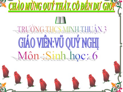 Bài giảng Sinh học 6 - Bài 42: Lớp hai lá mầm và lớp một lá mầm - Vũ Quý Nghị