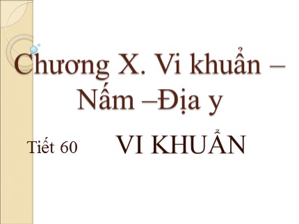 Bài giảng Sinh học 6 - Tiết 60: Vi khuẩn