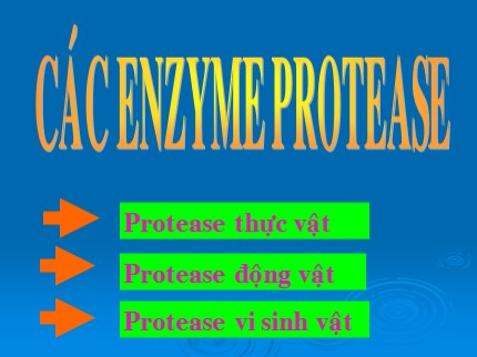 Bài giảng Sinh học 9 - Bài: Các enzyme protease