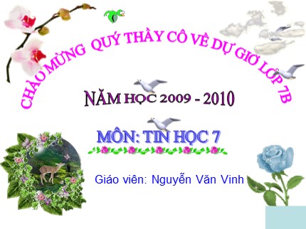 Bài giảng Tin học Khối 7 - Bài 5: Thao tác với bảng tính (Tiếp theo) - Nguyễn Văn Vinh