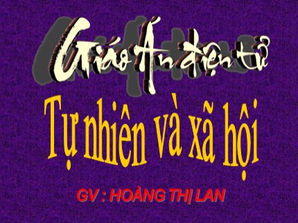 Bài giảng Tự nhiên và xã hội Lớp 3 - Bài: Rễ cây - Hoàng Thị Lan