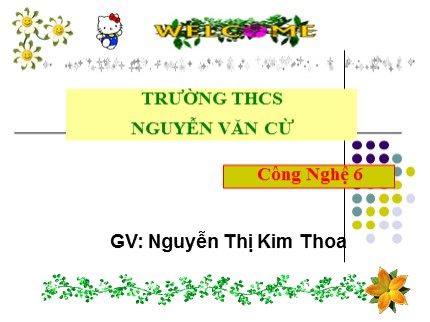 Bài giảng Công nghệ 6 - Bài 12: Trang trí nhà ở bằng cây cảnh và hoa - Nguyễn Thị Kim Thoa