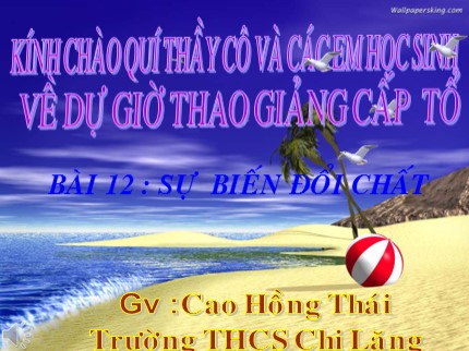 Bài giảng Hóa học 8 - Bài 12: Sự biến đổi chất - Cao Hồng Thái