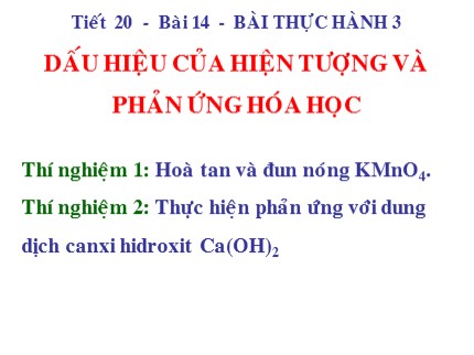 Bài giảng Hóa học Lớp 8 - Bài 14: Bài thực hành 3 - Dấu hiệu của hiện tượng và phản ứng hóa học