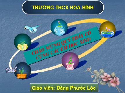 Bài giảng Hóa học Lớp 8 - Bài 17: Luyện tập 3 - Đặng Phước Lộc