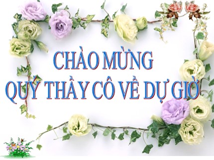 Bài giảng Hóa học Lớp 8 - Tiết 28: Chuyển đổi giữa khối lượng, thể tích và mol