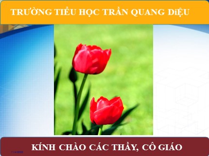 Bài giảng Mĩ thuật Lớp 4 - Bài 14 : Vẽ theo mẫu - Mẫu có hai đồ vật - Trường TH Trần Quang Diệu