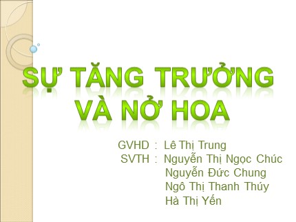 Bài giảng Sinh học Lớp 6 - Bài: Sự tăng trưởng và nở hoa - Lê Thị Trung