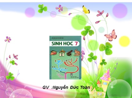 Bài giảng Sinh học Lớp 7 - Bài 38: Thằn lằn bóng đuôi dài - Nguyễn Đức Toàn