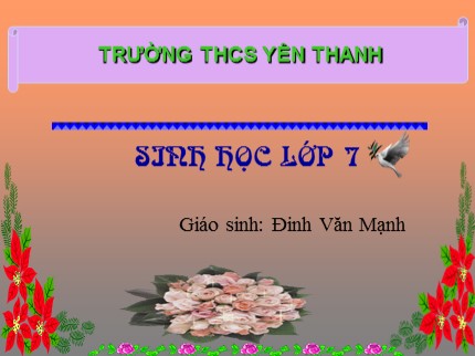 Bài giảng Sinh học Lớp 7 - Bài 44: Đa dạng và đặc điểm chung của lớp chim - Đinh Văn Mạnh