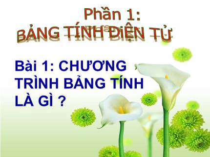 Bài giảng Tin học 7 - Bài 1: Chương trình bảng tính là gì? (Bản đẹp nhất)