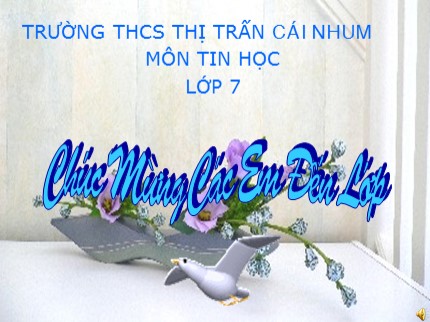 Bài giảng Tin học 7 - Bài 2: Các thành phần và dữ liệu trên trang tính - Trường THCS Thị trấn Cái Nhum