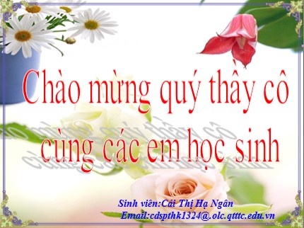 Bài giảng Tin học 7 - Bài 5: Thao tác với bảng tính - Cái Thị Hạ Ngân