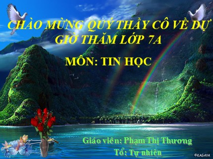 Bài giảng Tin học 7 - Bài 8: Sắp xếp và lọc dữ liệu (Tiết 1) - Phạm Thị Thương