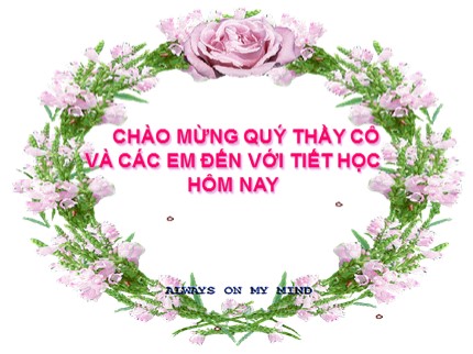 Bài giảng Tin học 7 - Bài: Thao tác với bảng tính