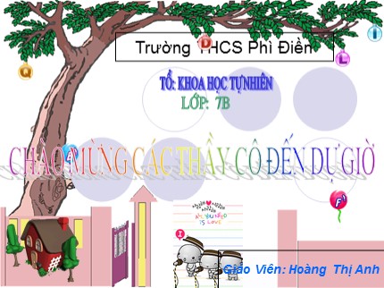 Bài giảng Tin học 7 - Tiết 17: Bài tập - Hoàng Thị Anh