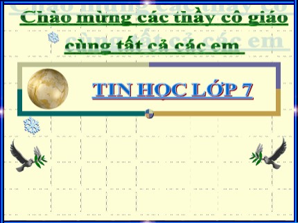 Bài giảng Tin học Khối 7 - Tiết 13+14: Thực hiện tính toán trên trang tính