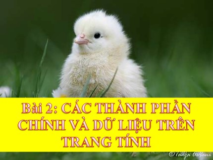 Bài giảng Tin học Lớp 7 - Bài 2: Các thành phần chính và dữ liệu trên trang tính (Bản đẹp)